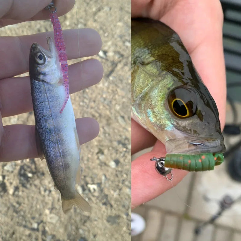 Soft Worm Fishing Lures – Polaris Sinking Bait for Bass, Trout & More | Soft Plastic Pesca Baits