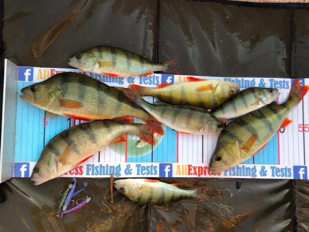 Soft Fishing Lures – 5cm, 8cm, 9.5cm, 11cm | Artificial Bait for Pike & Predators | Premium Tackle