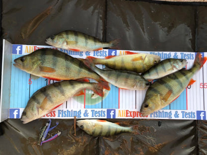 Soft Fishing Lures – 5cm, 8cm, 9.5cm, 11cm | Artificial Bait for Pike & Predators | Premium Tackle